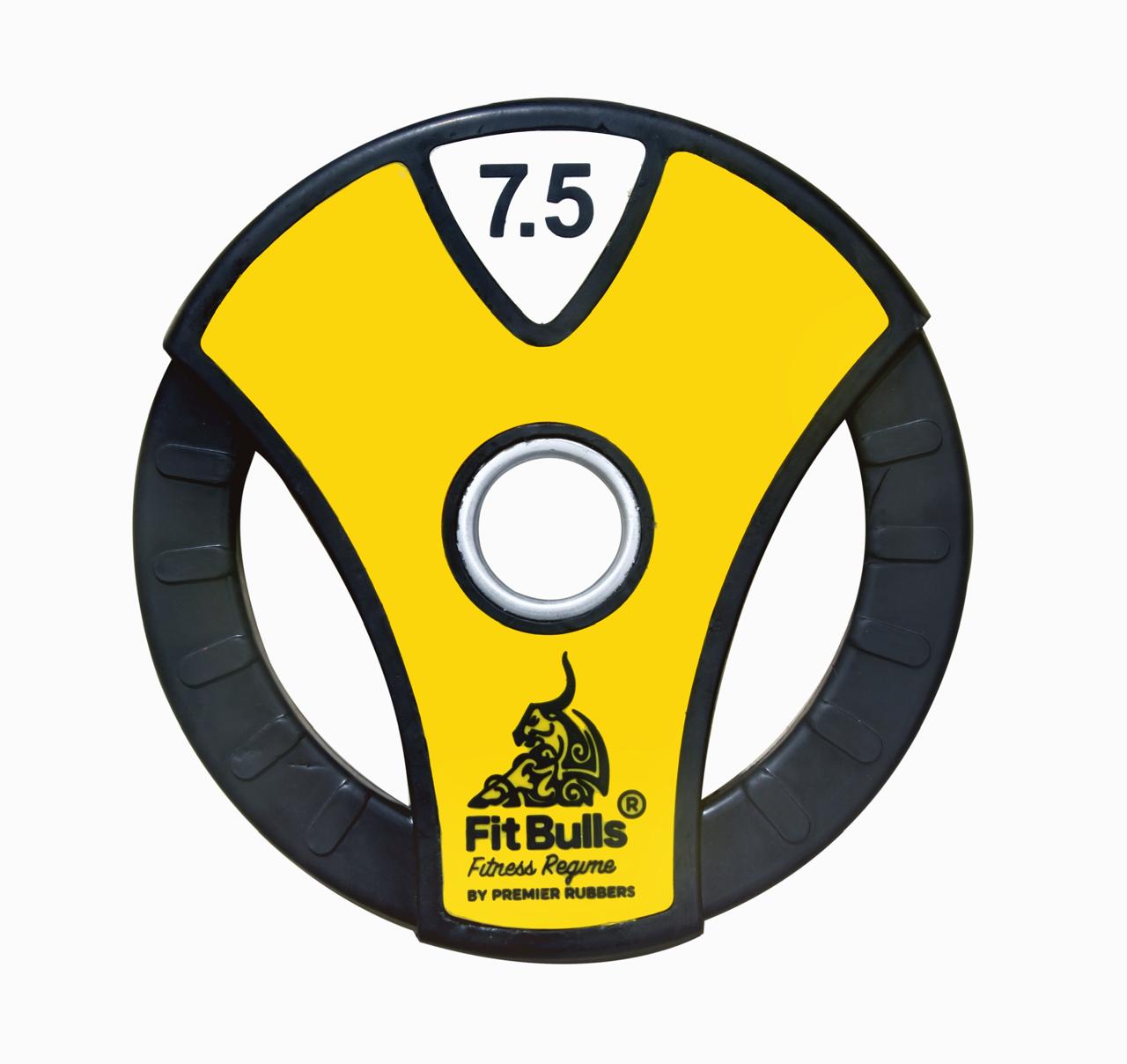 Fitbulls weight plate image